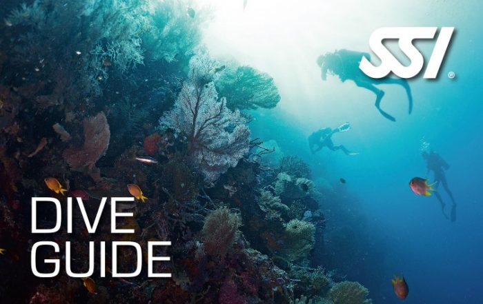 dive guide